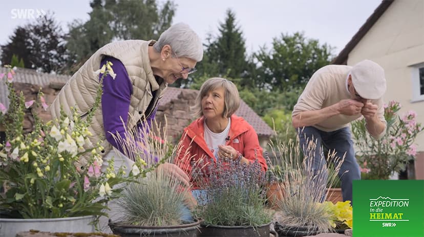 Genusstour durch den Schwarzwald